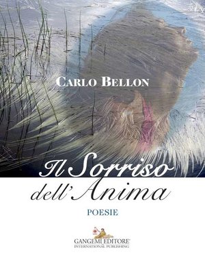 cover image of Il Sorriso dell'Anima